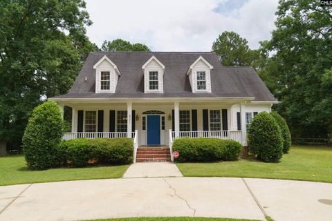 Photo of 421 Dutchman Shores Cir Circle, Chapin, SC 29036 (MLS # 638914)