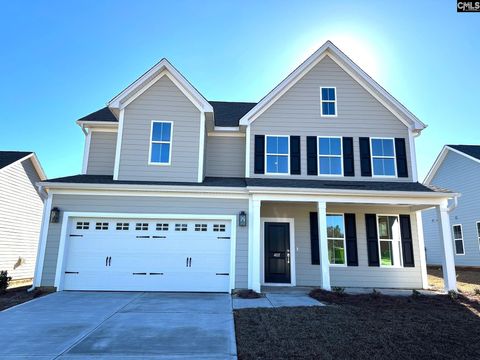 Photo of 407 Rising Stream Way, Chapin, SC 29036 (MLS # 615295)