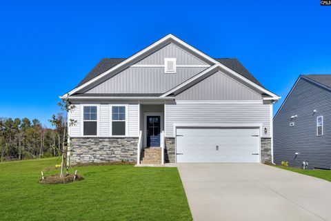 Photo of 716 Feldspar Court, Chapin, SC 29036 (MLS # 635349)