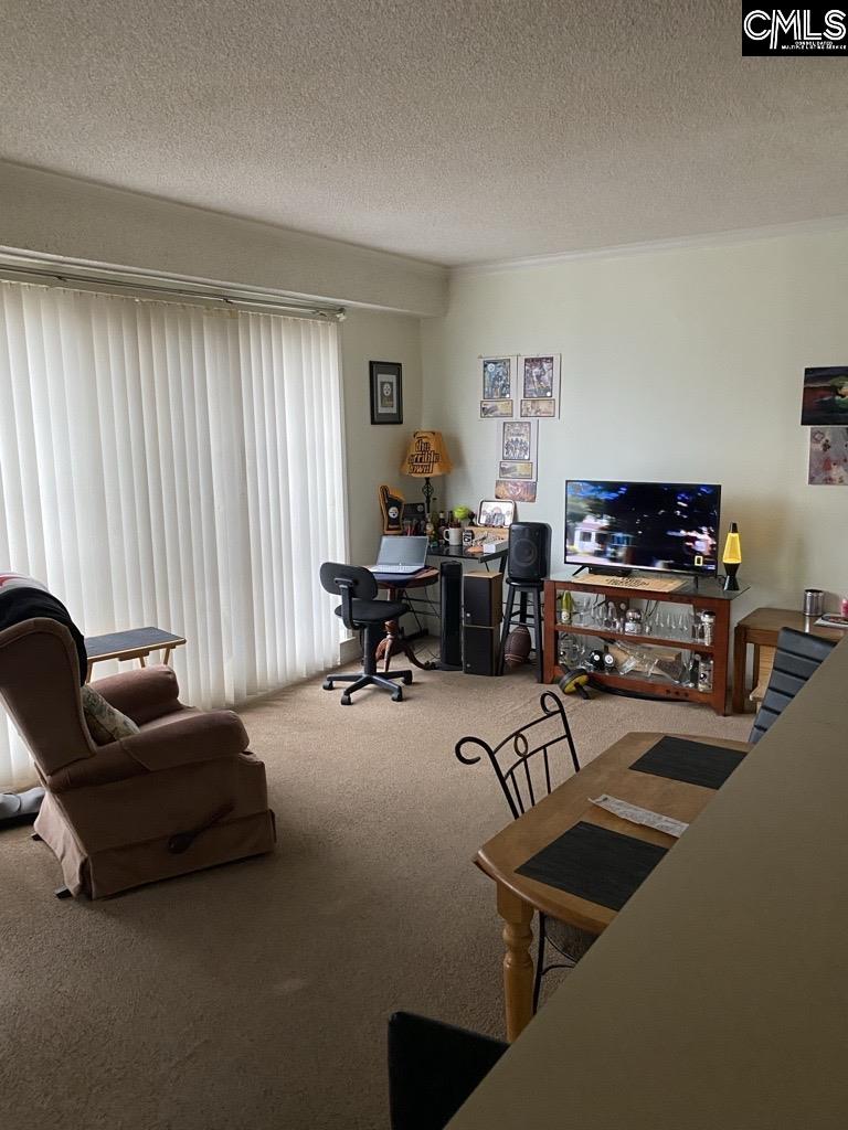 2009 Greene Street 301