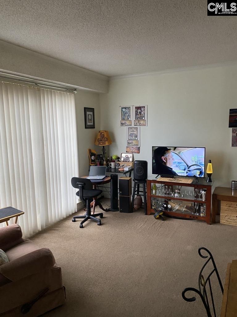 2009 Greene Street 301