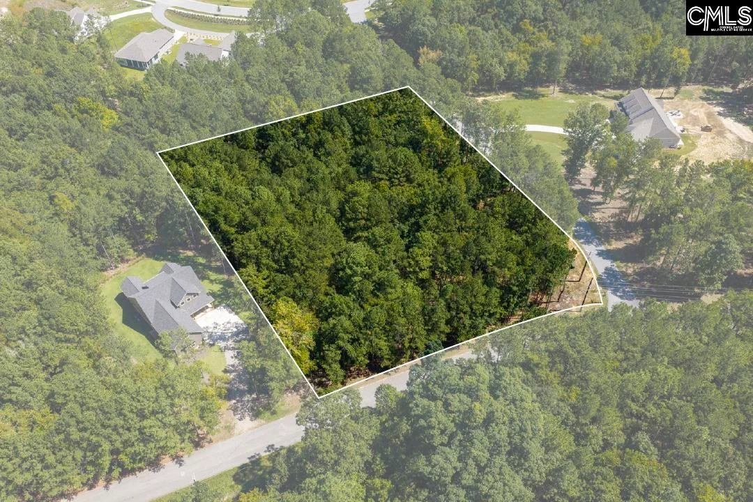 Lot 205 Peninsula Drive, Prosperity, SC, 29127