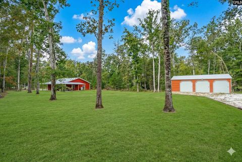 Photo of 132 Pembroke Lane, Chapin, SC 29036 (MLS # 628195)