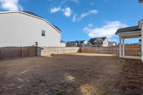 A home in Chapin