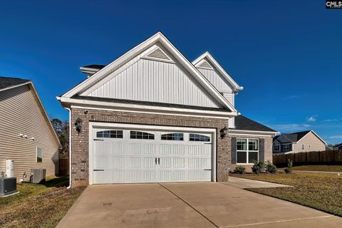 A home in Chapin