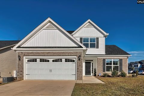 A home in Chapin