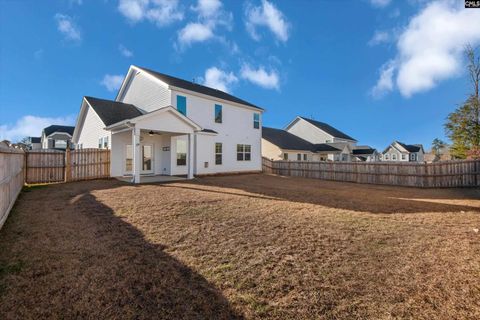 A home in Chapin