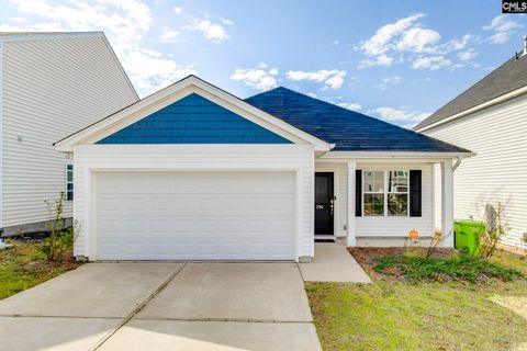 Photo of 290 Windfall Road, Blythewood, SC 29016 (MLS # 628531)