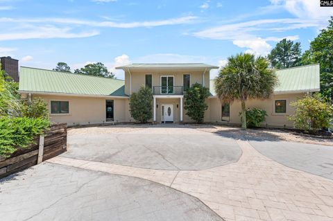 A home in Chapin