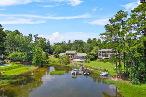 A home in Chapin