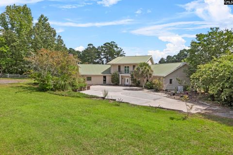 A home in Chapin