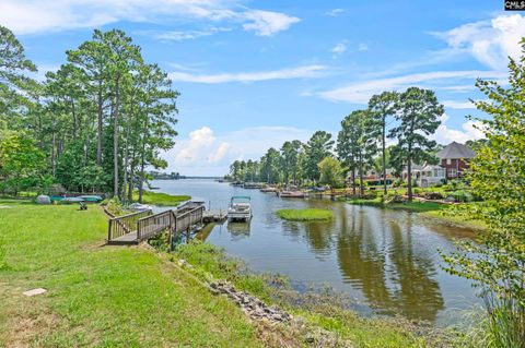 A home in Chapin