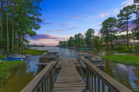 A home in Chapin