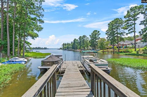 A home in Chapin