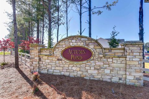 A home in Blythewood