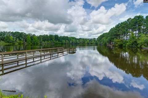 A home in Blythewood