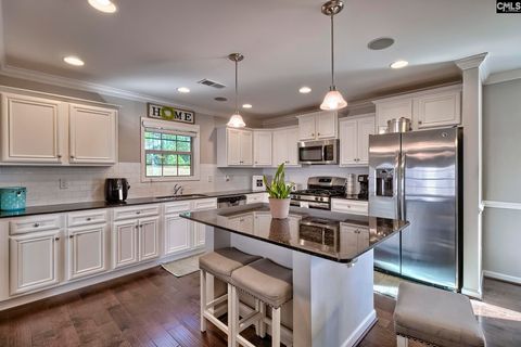 A home in Chapin