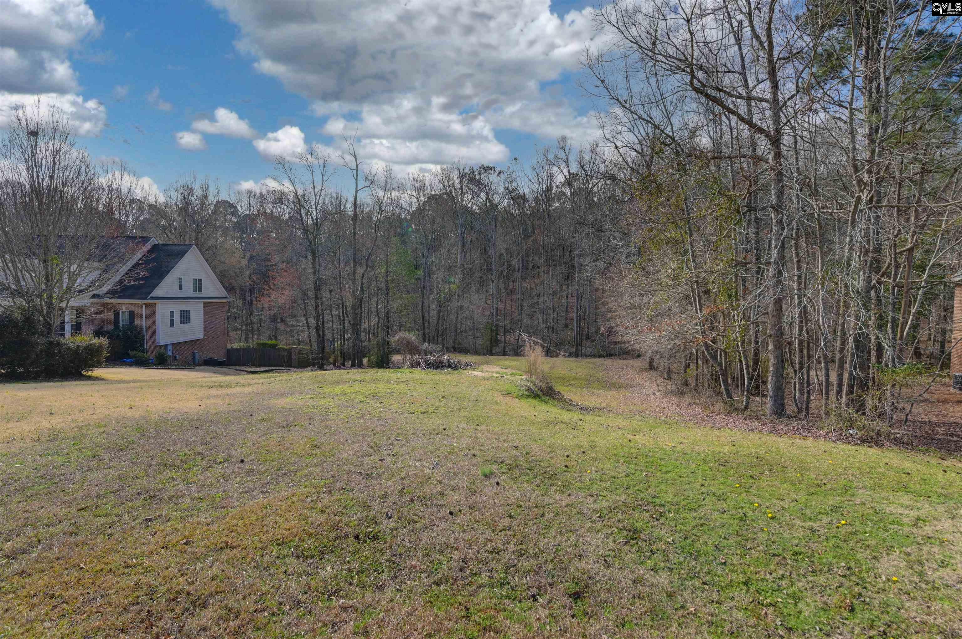 Photo 1 of 25 — 228 Winding Oak Way, Blythewood, SC 29016