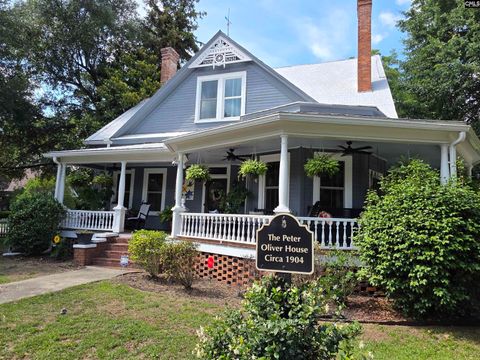 Photo of 295 W 1St Street, Swansea, SC 29160 (MLS # 637313)