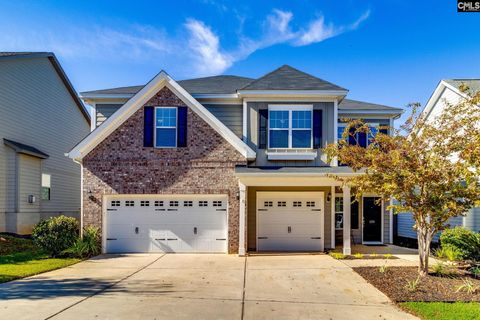 A home in Chapin