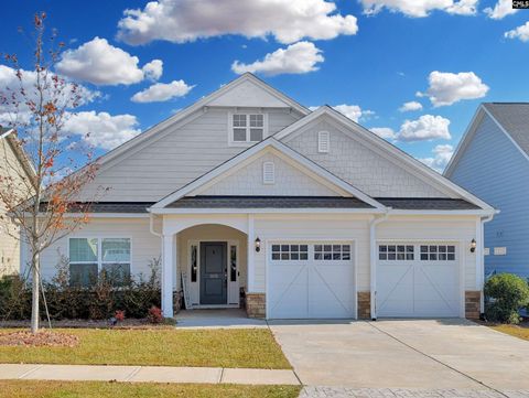 Photo of 3031 Chilmark Road, Chapin, SC 29036 (MLS # 621385)