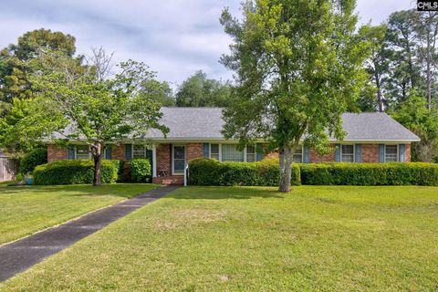 Photo of 415 Cool Springs DR, Camden, SC 29020 (MLS # 634369)