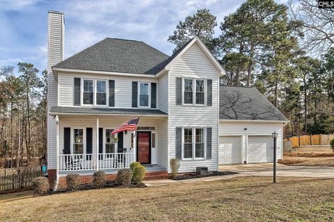 Photo of 204 Platinum Drive, Lexington, SC 29072 (MLS # 625513)