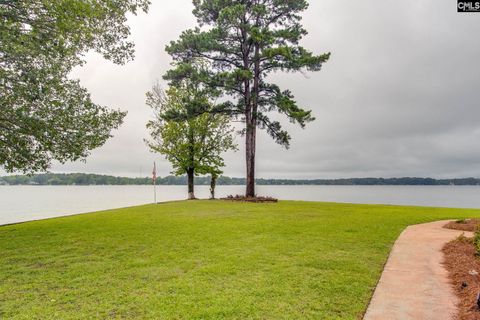 A home in Chapin