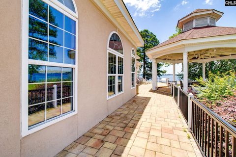 A home in Chapin