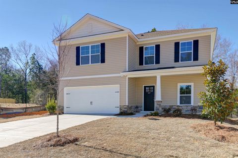 Photo of 247 Boseman Road, Irmo, SC 29063 (MLS # 620684)