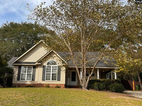 Photo of 7 Rosepine Drive, Columbia, SC 29223 (MLS # 620343)