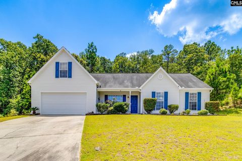 Photo of 222 Nitsill Court Court, West Columbia, SC 29170 (MLS # 639331)