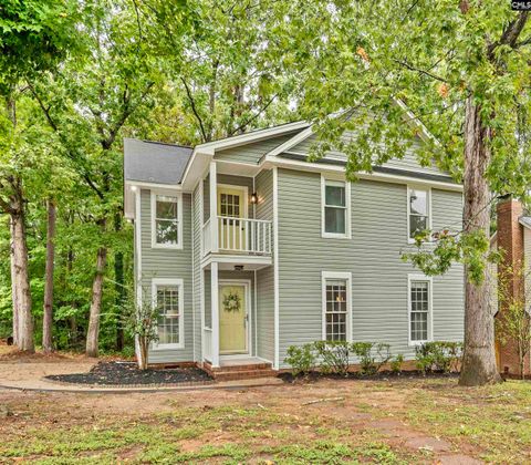 Photo of 101 E Sparrowood Run, Lexington, SC 29072 (MLS # 624519)