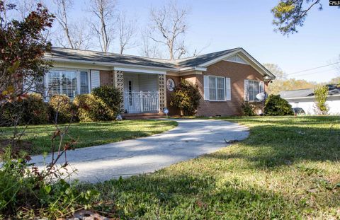 Photo of 2309 Orchard Street, Newberry, SC 29108 (MLS # 629574)