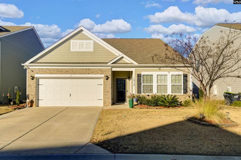 Photo of 1312 Canopy Crest Lane, Chapin, SC 29036 (MLS # 624056)
