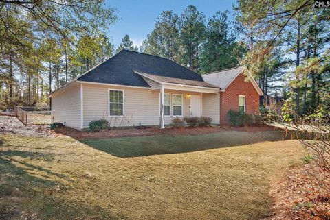 Photo of 1539 Ben Franklin Road, Leesville, SC 29070 (MLS # 623263)