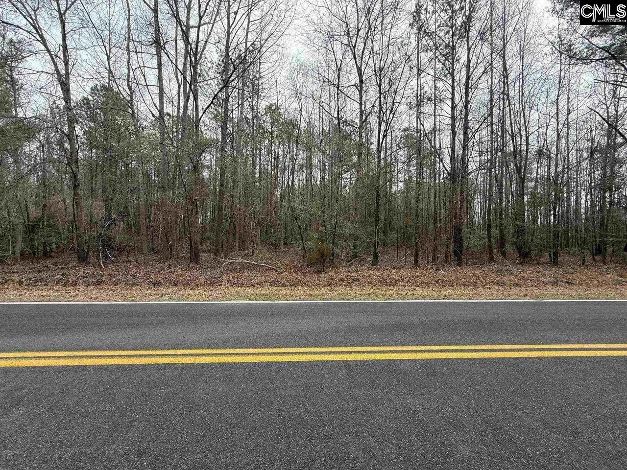 1644 Pincushion Road