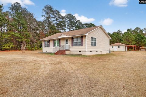 Photo of 212 Rawls Mill Pond Road, Wagener, SC 29164 (MLS # 622878)