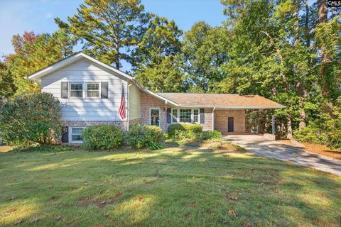 Photo of 941 Mohegan Trail, West Columbia, SC 29169 (MLS # 620945)