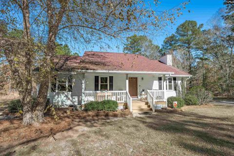 Photo of 405 Frank Moorer Drive, Swansea, SC 29160 (MLS # 622030)