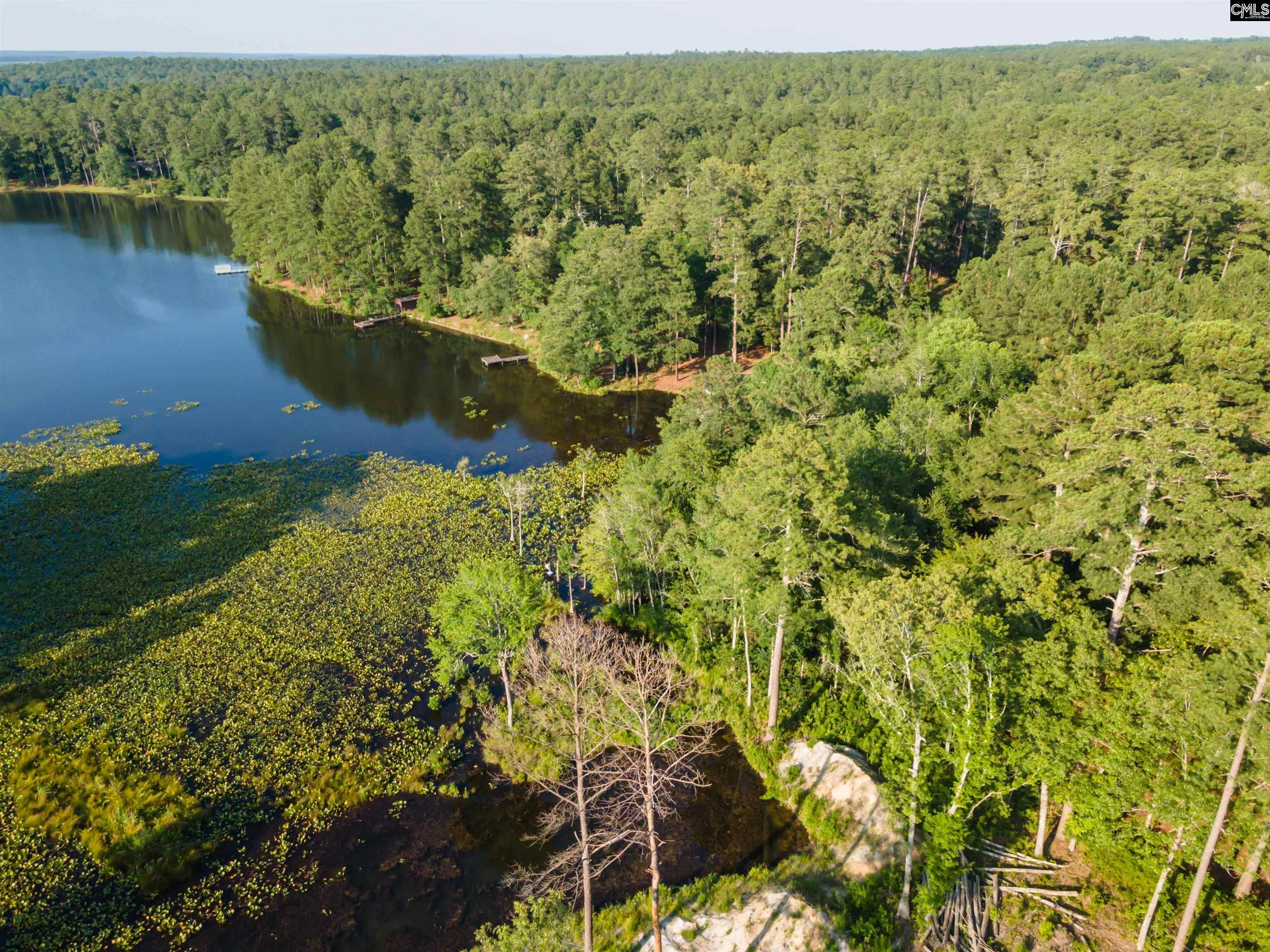 Lot 39 Edisto Lake Road