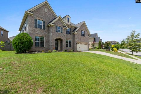 A home in Chapin