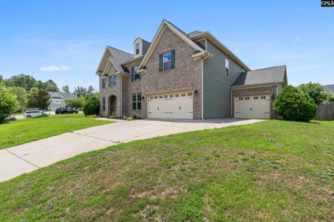 A home in Chapin