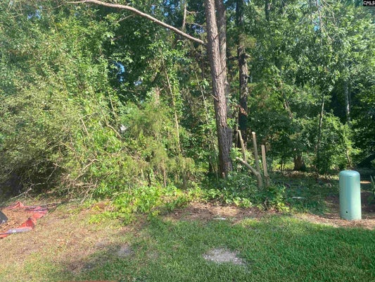 115 BEACON POINT RD, IRMO, SC 29063 - Image 7d30ecc8d14621d042bd3939a3f78228/1305082906