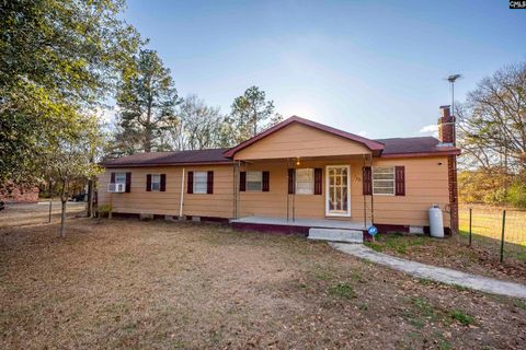 Photo of 248 Henry Road, Neeses, SC 29107 (MLS # 625146)