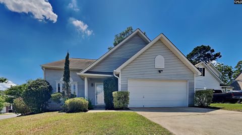 A home in Chapin