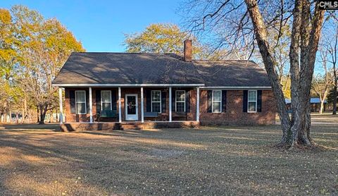 Photo of 124 Mount Pilgrim Church Road, Columbia, SC 29223 (MLS # 623253)