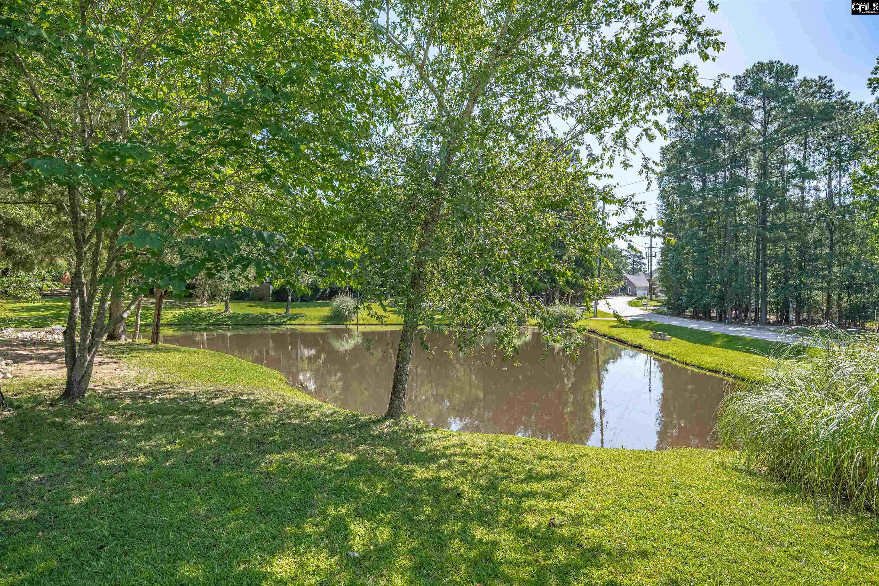 Chapin, South Carolina 29036, United States, 4 Bedrooms Bedrooms, ,3 BathroomsBathrooms,Residential,Active,179319