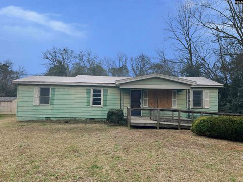 Photo of 2537 Upper Lane Drive, Newberry, SC 29108 (MLS # 625844)