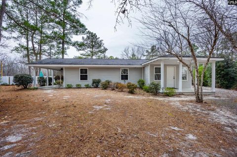 Photo of 2668 Steven Campbell Road, Elgin, SC 29045 (MLS # 625034)